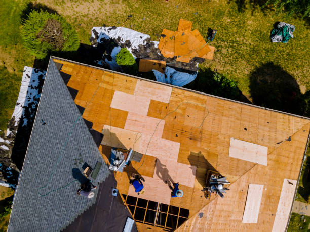 Quick and Trustworthy Emergency Roof Repair Services in Clermont, FL