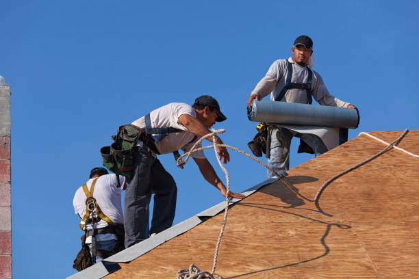 Best Emergency Roof Repair  in Clermont, FL