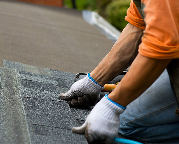 Professional Roofing Contractor in Clermont, FL